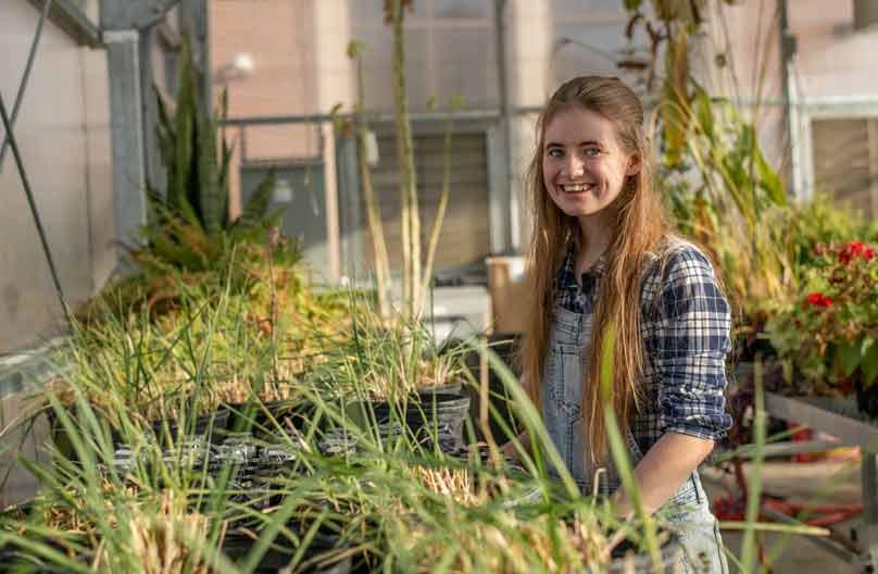 A student works in a greenhouse